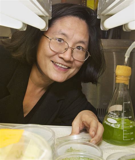 Dr. Pinfen Yang // Biological Sciences // Marquette University