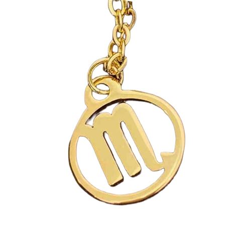 Zodiac Sun Sign Scorpio Necklace | Stainless Steel | Fancy Jewellery f ...