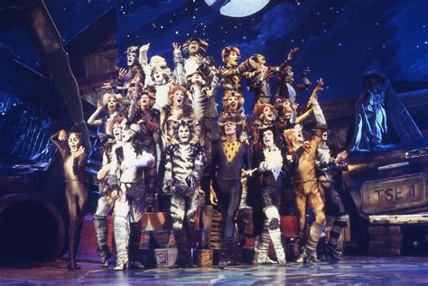Cats on Screen - Cats the Musical | Cats musical, Musicals, Cats that ...