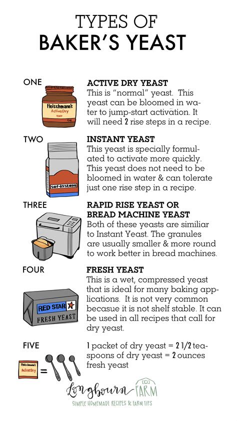 Types of Baker's Yeast • Longbourn Farm