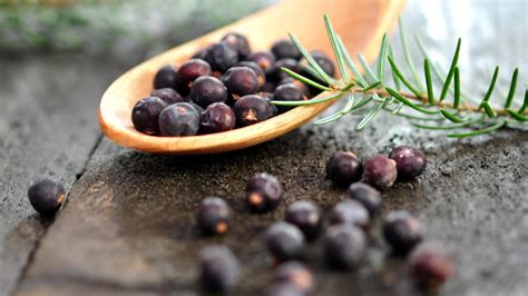 "Juniper Health: The Benefits and Remedies for UTIs, Digestion, Joint Pain, and Immune Support ...