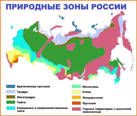 Мхи и лишайники природная зона