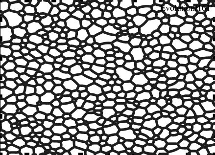 Cell Network Simulation System Java 的图像结果