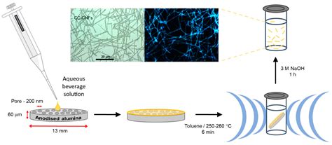 Template-Assisted Synthesis of Luminescent Carbon Nanofibers from ...