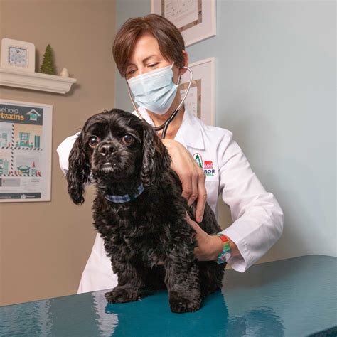 Take a Tour of our Ann Arbor Veterinary Hospital!