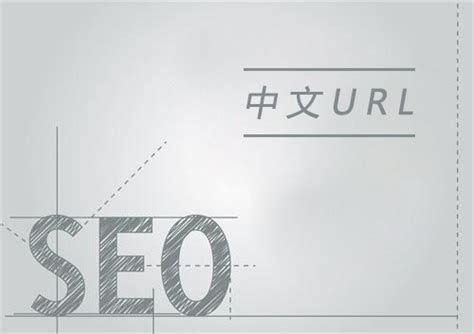 URL后缀包含中文字符利于网站SEO优化吗？主要介绍与网站排名、网站优化、seo优化相关的知识