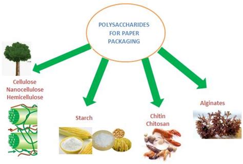 Review on Polysaccharides Used in Coatings for Food Packaging Papers