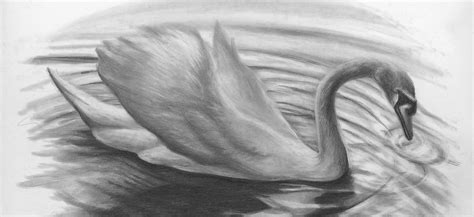 Image result for Graphite Drawing for Beginners