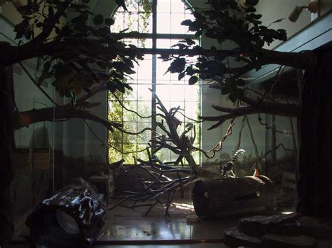 ZooLex Image - Lemur Leap exhibit