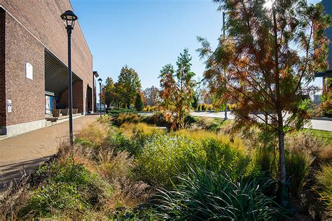 STLCC Forest Park Center for Nursing and Advanced Health Sciences ...