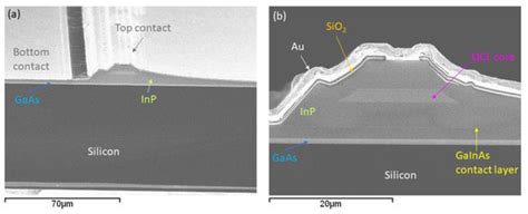 High Power Mid-Infrared Quantum Cascade Lasers Grown on Si