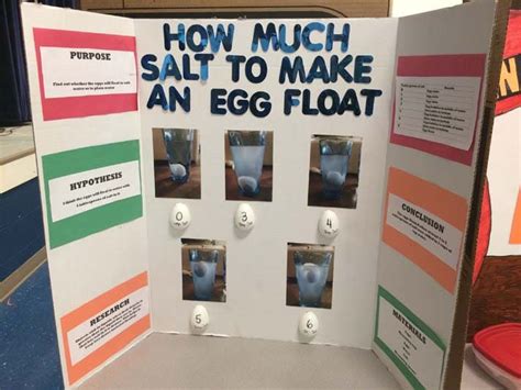 100 Easy Science Fair Projects 的图像结果
