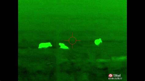 Image result for Exploding Hog