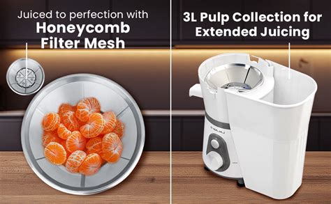 Buy Bajaj Ninja Series PowerBlend 1000 Watts Juicer Mixer Grinder With ...