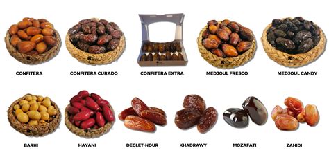 Clases de dátiles (1) – VisitElche