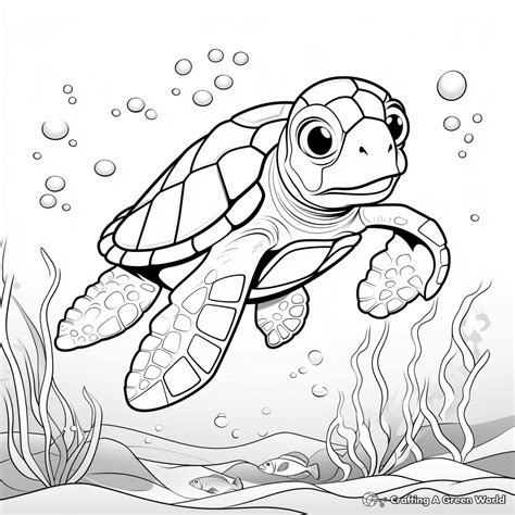 Image result for MagicPad Sea Turtle