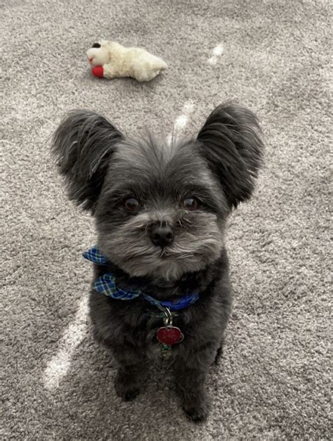 Two Rivers Veterinary Hospital | Compassionate Pet Care — Book Your Visit