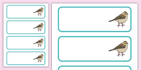 👉 Chaffinch Themed Editable Drawer, Peg, Name Labels