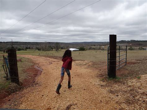 Alabamaland: A Family Odyssey - April Dobbins