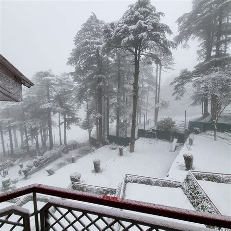 HOTEL GREEN TOP (Patnitop, Jammu) - Hotel Reviews, Photos, Rate ...