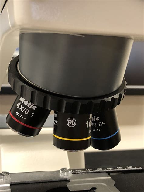 Image result for Objectives Microscope Function