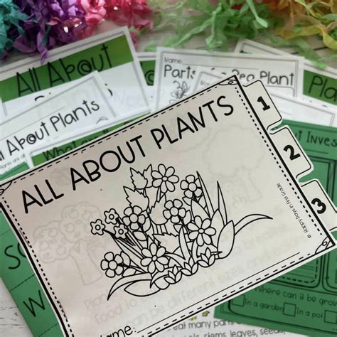 Image result for Plant Lesson First Grade