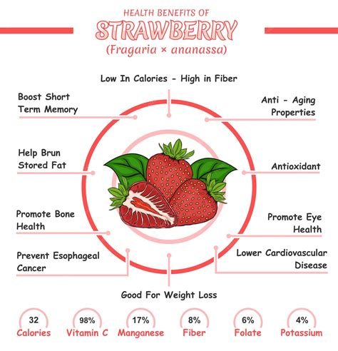 Premium Vector | Health benefits of strawberry