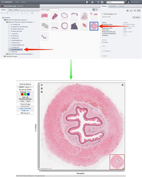Image result for Virtual Microscope