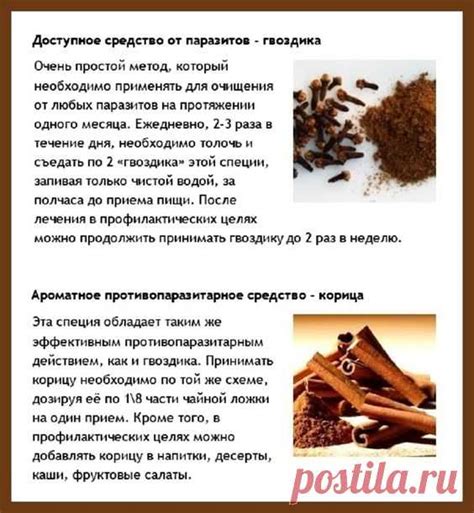 Гвоздика от паразитов и порошок гвоздики