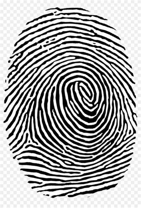 Fingerprint Authentication Clip Art - Fingerprint Free Vector
