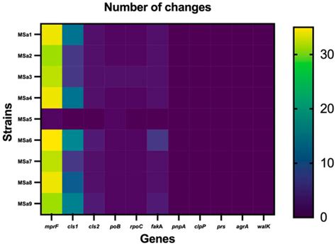 Genomic Insights into Staphylococcus aureus Isolates Exhibiting ...