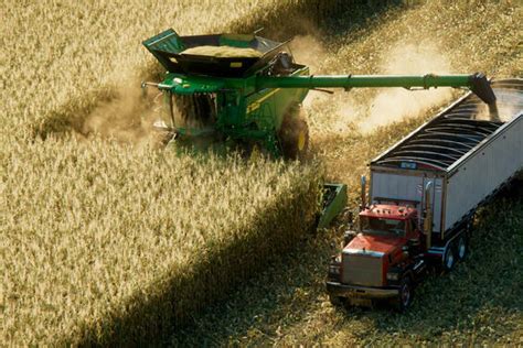 Landwirtschafts-Simulator 22 Release: Trailer zeigt neue Fruchtarten ...