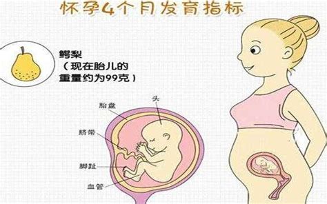 懷孕篇丨孕中期多與腹中寶寶互動，做個快樂准媽媽 - 每日頭條