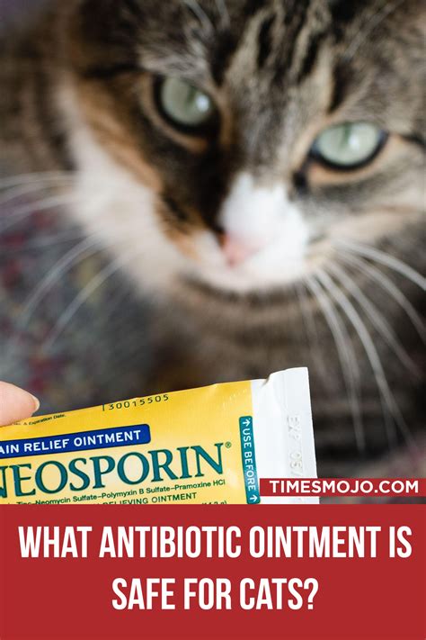 Antibacterial Ointment For Cat Bite