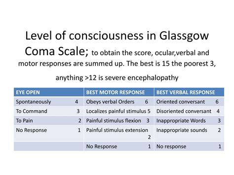 PPT - EXAMINATION OF A PATIENT WITH HEPATIC ENCEPHALOPATHY/ALTERED ...