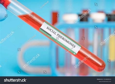 3,176 Social Behavior Animals Images, Stock Photos & Vectors | Shutterstock