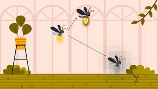 Firefly Algorithm Explained 的图像结果