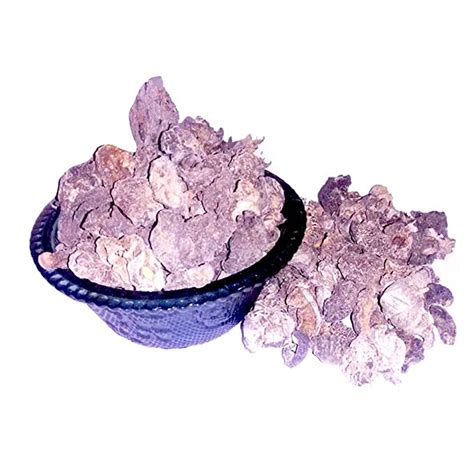 NPRC Amla Raw and Dried Natural Form (100g) : Amazon.in: Beauty