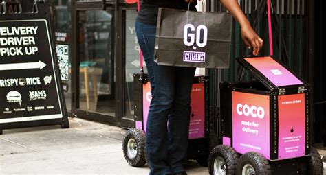 Coco Robot 的图像结果