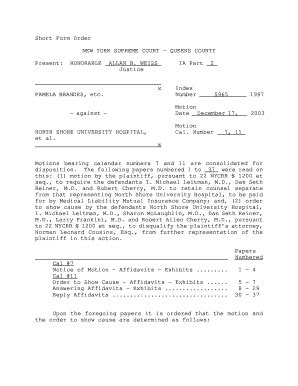 Fillable Online Order Regarding Disqualification and Separate Counsel ...