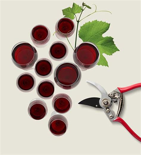 Red wine S.M.X.-Alpha Estate-750ml