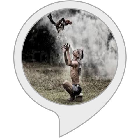 Amazon.in: Poultry Facts : Alexa Skills