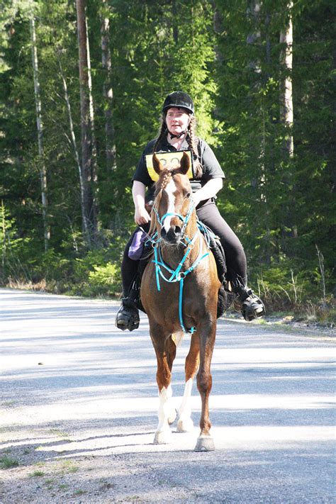 indian Spin Crush code,In the world of mobile gaming