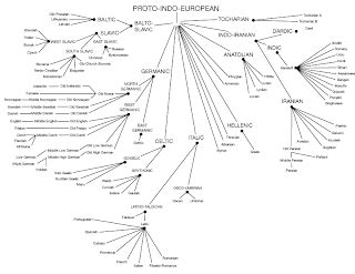 Image result for Proto-Human Language