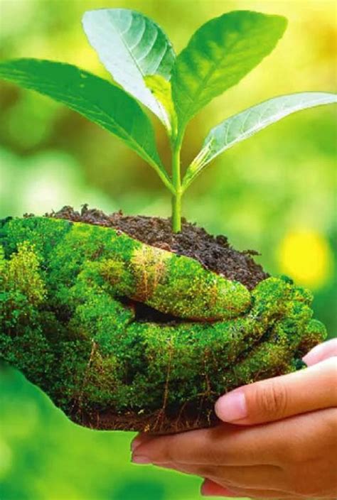 Sai Sahithi Enviro Chem Pvt. Ltd.