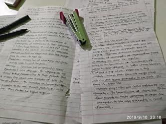 Rorito Fiber Point Blue Pilot Pen Pack of 20 : Amazon.in: Office Products