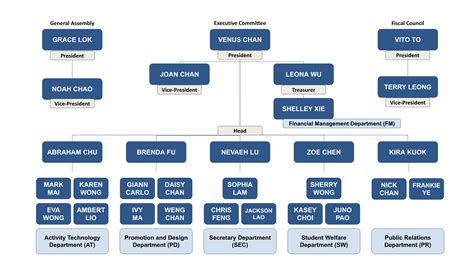 Organization Phase Chart 的图像结果