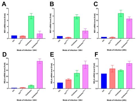 Activation of the RIG-I/MAVS Signaling Pathway during Human Adenovirus ...