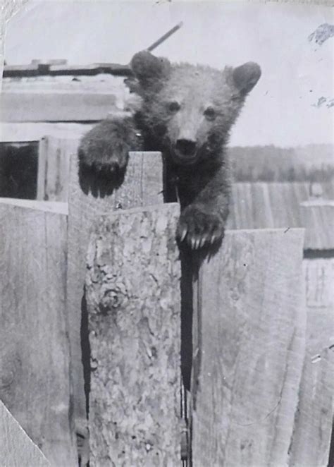 Image result for Gallery Wrap Frame System