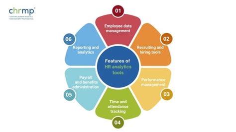 HR Analytics Tools 的图像结果